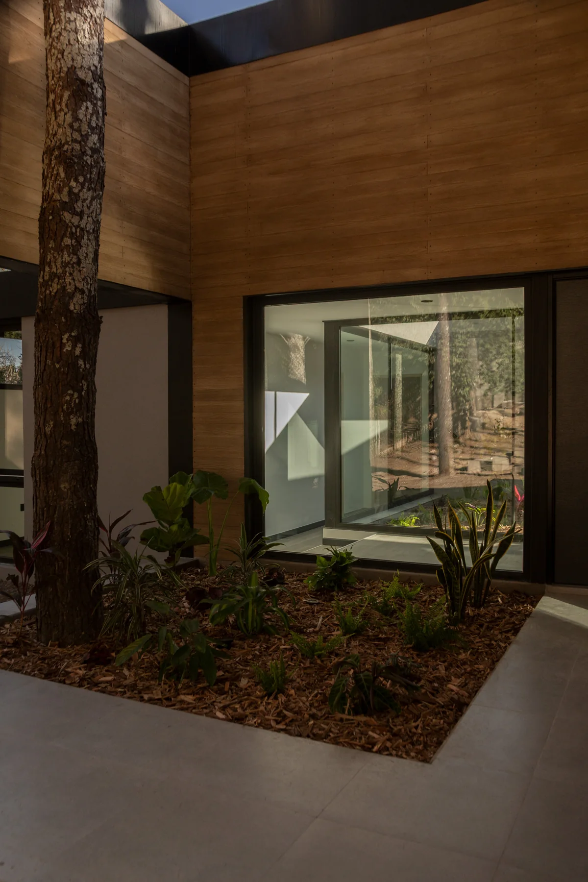 Casa Entre Árboles: aberturas y espacios realizados por Vexar